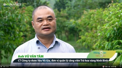 Người đàn ông chinh phục hơn 30 giống Trà hoa vàng quý hiếm ở Việt Nam