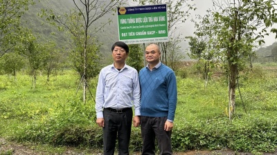 Đc Trần Song Tùng - Phó Chủ tịch UBND tỉnh Ninh Bình thăm mô hình bảo tồn trà hoa vàng Cúc phương