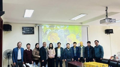 Nghiệm thu đề tài KHCN cấp tỉnh - Đạt loại Xuất sắc