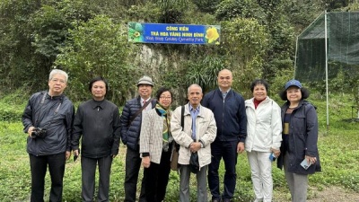 Đoàn hội nhà báo Việt Nam đến thăm và tìm hiểu công tác bảo tồn trà hoa vàng quý hiếm của Việt Nam