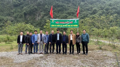 Hội nghị đầu bờ Mô hình trồng và chăm sóc cây Trà hoa vàng Cúc phương 12.2022
