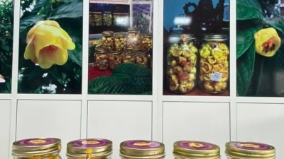 Cách pha Trà hoa vàng mạn hảo