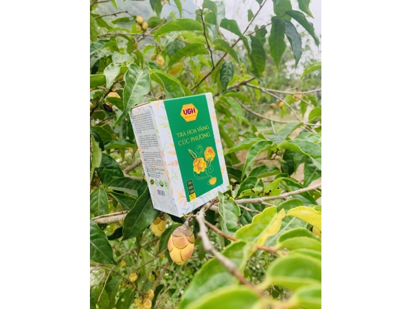 Trà hoa vàng Cúc phương hoà tan