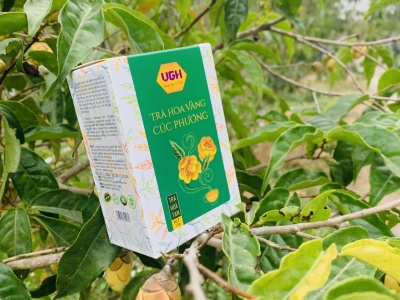 Trà hoa vàng Cúc phương hoà tan