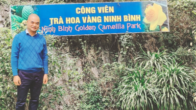 Một đời theo đuổi "Nữ hoàng trà" - Trà hoa vàng