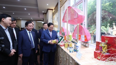 Thủ tướng Phạm Minh Chính cùng Trà hoa vàng Vũ Gia