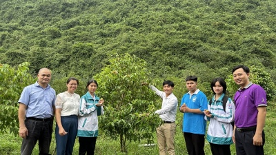 Đoàn thầy trò THPT tìm hiểu về Sứ mệnh bảo tồn trà hoa vàng