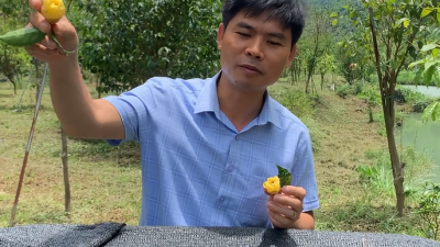 Trải nghiệm của thầy giáo Đặng Văn Phương-Phó Hiệu trưởng trường THPT Nho Quan C 6.2022