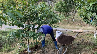"THỨC ĂN" của Trà hoa vàng tại Công viên Trà hoa vàng Ninh Bình
