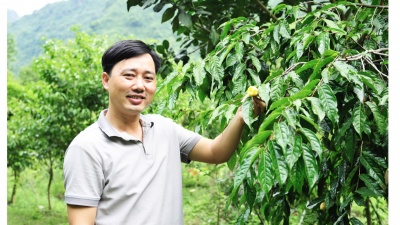 Chàng kỹ sư khám phá ra loài hoa 'quý hơn vàng' bị lãng quên trong rừng