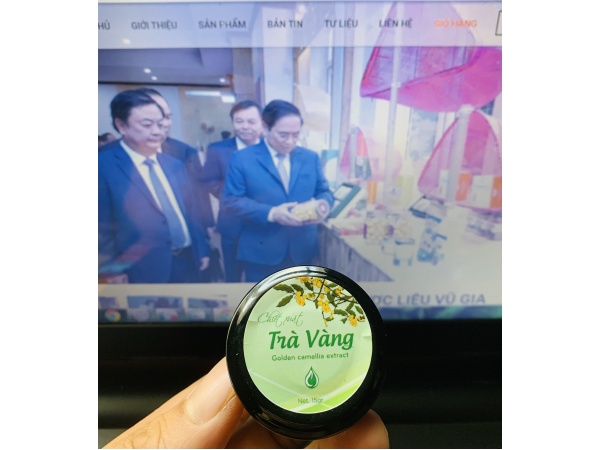 Chiết suất Trà vàng 15gr