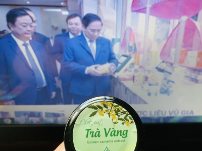 Chiết suất Trà vàng 15gr