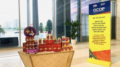Công viên trà hoa vàng Ninh Bình tại "Diễn đàn kinh tế xã hội Việt Nam 2023