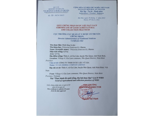 Đinh lăng Vũ Gia (trà hoà tan 10goi/h)