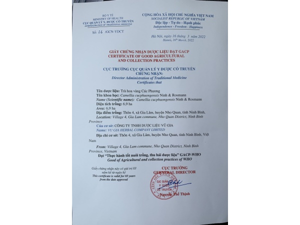 Trà hoa vàng 15gr