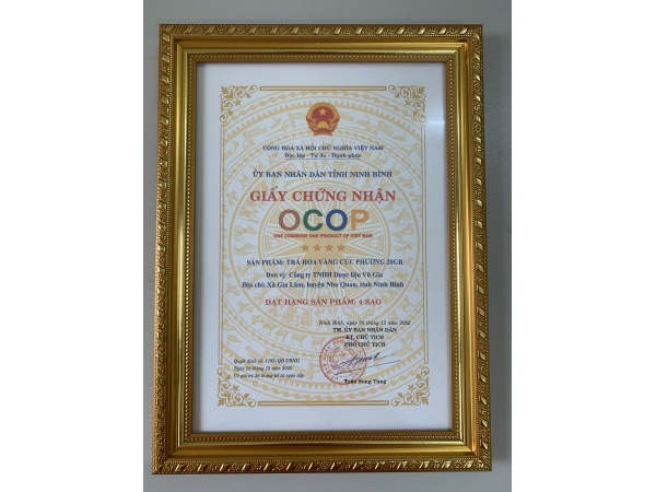 Trà hoa vàng Cúc Phương (Cao cấp)