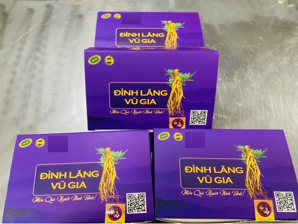 Đinh lăng Vũ Gia (trà hoà tan 10goi/h)