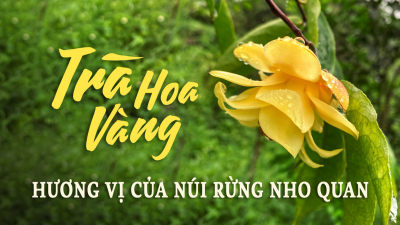HƯƠNG VỊ NÚI RỪNG NHO QUAN NINH BÌNH