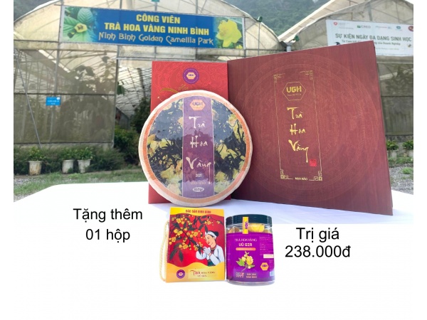 Trà hoa vàng Mạn Hảo (bánh ép 5.2020)