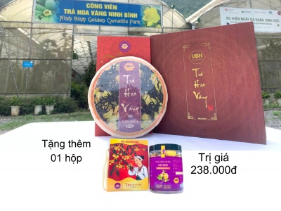 Trà hoa vàng Mạn Hảo (bánh ép 5.2020)