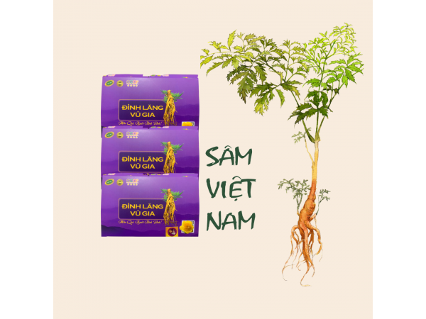 Đinh lăng Vũ Gia (trà hoà tan 10goi/h)