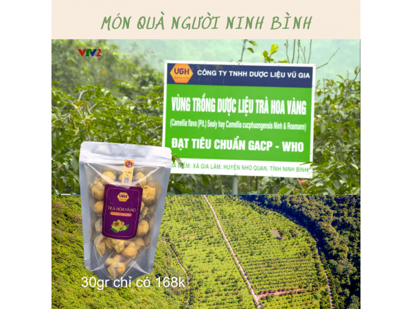 Trà hoa vàng Vũ Gia 30gr