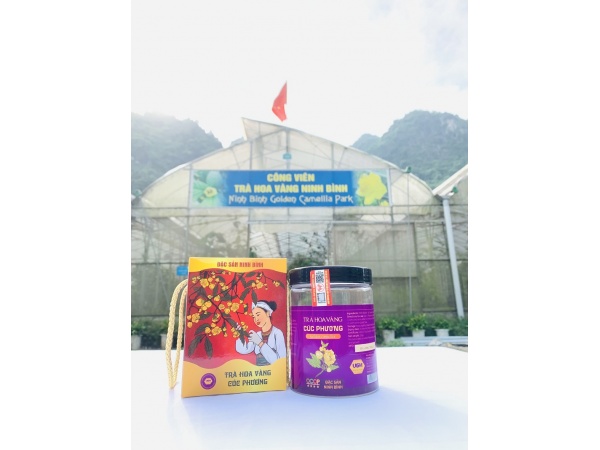 Trà hoa vàng Cúc Phương (Cao cấp)