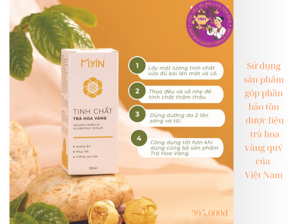 Tinh chất Trà hoa vàng Cúc phương