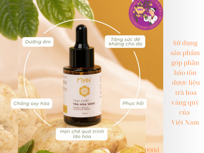 Tinh chất Trà hoa vàng Cúc phương