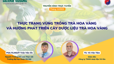 Toạ đàm báo Sức khoẻ & Đời sống: "Thực trạng vùng trồng trà hoa vàng và hướng phát triển cây dược liệu trà hoa vàng"