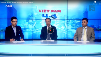 Cách pha Trà hoa vàng mạn hảo