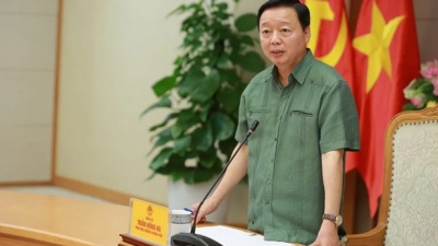 Phát triển dược liệu dưới tán rừng phải gắn với sinh kế, giữ dân, giữ rừng