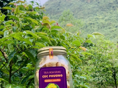 Trà hoa vàng Cúc Phương (Thượng hạng)