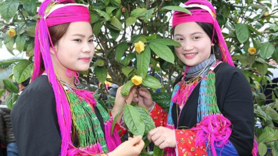 RỘN RÀNG LỄ HỘI TRÀ HOA VÀNG LẦN 2 TẠI BA CHẼ QUẢNG NINH