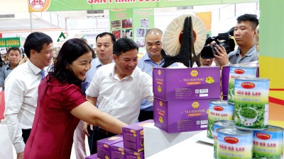 Đẩy mạnh tiêu thụ nông đặc sản vùng miền và sản phẩm OCOP tại Hà Nội