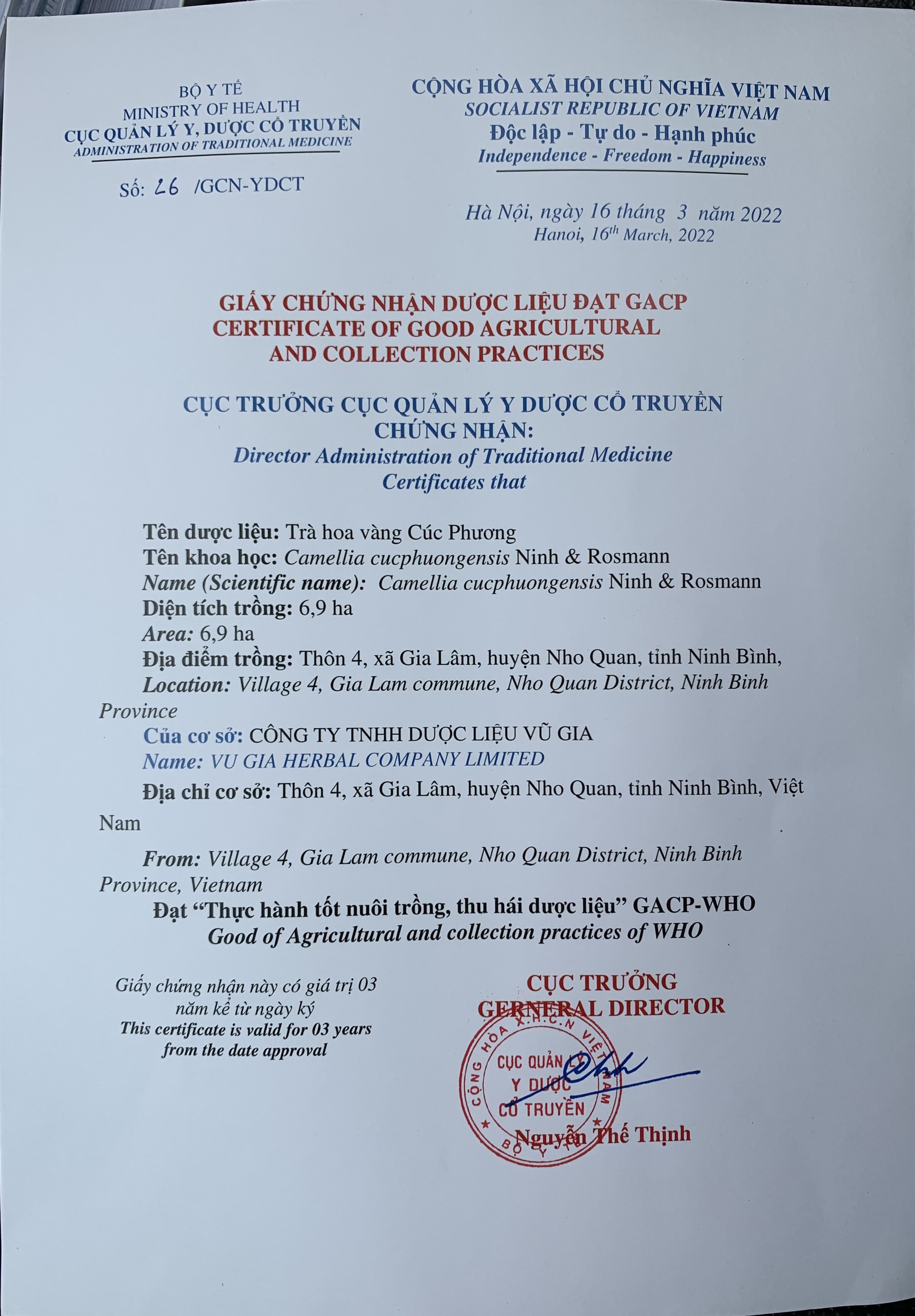Trà hoa vàng Mạn Hảo (bánh ép 5.2020)