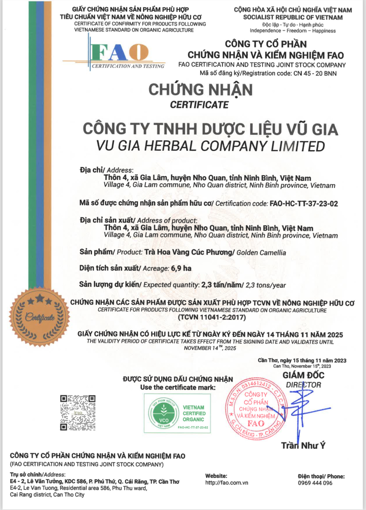 Trà hoa vàng Cúc Phương (Cao cấp)